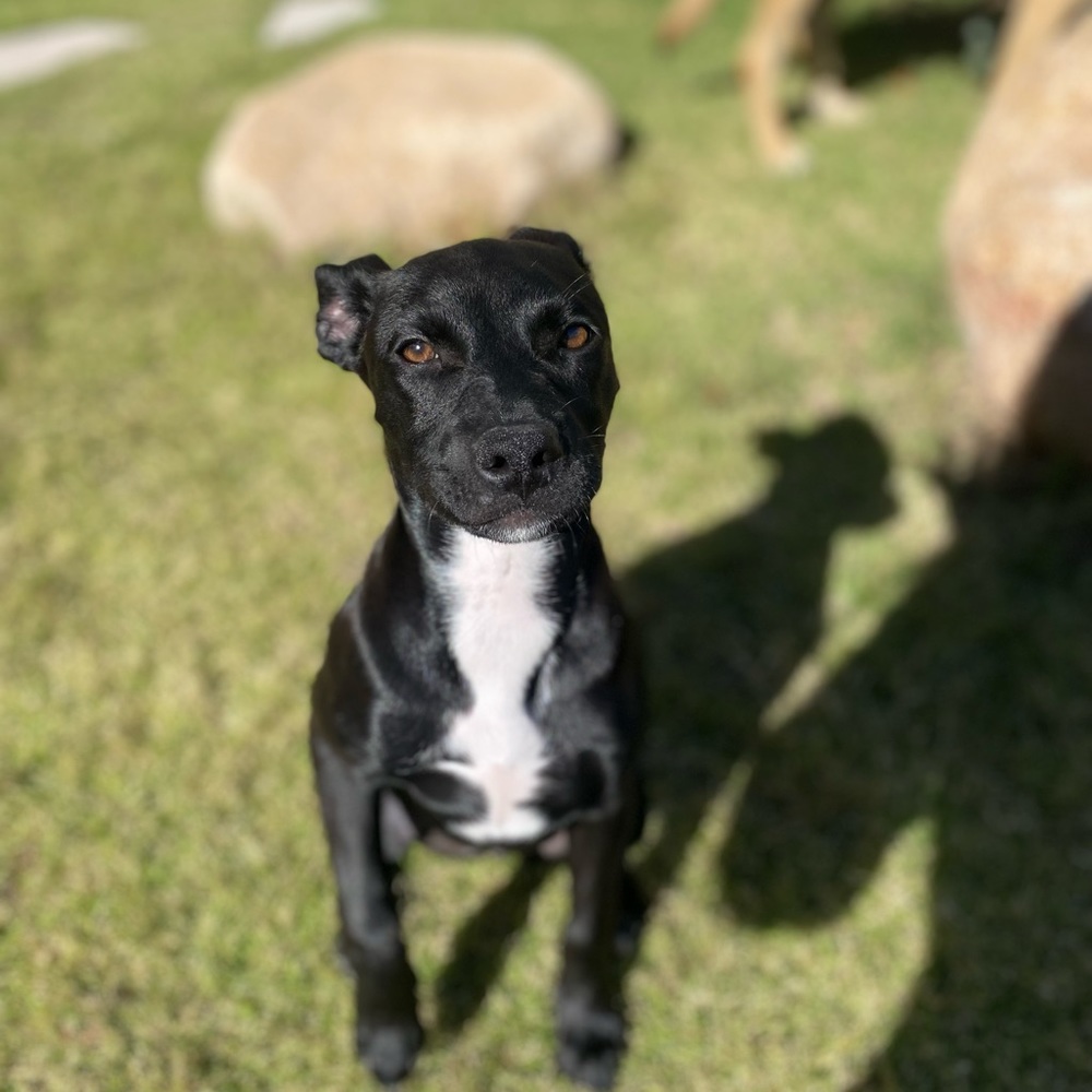 Meet your Posher, Victoria